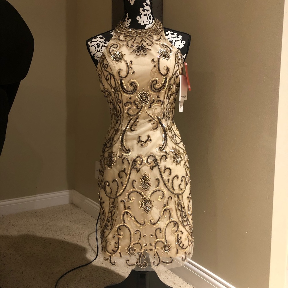 Gorgeous Shail K. Gold & Nude Dress